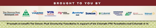 sponsors